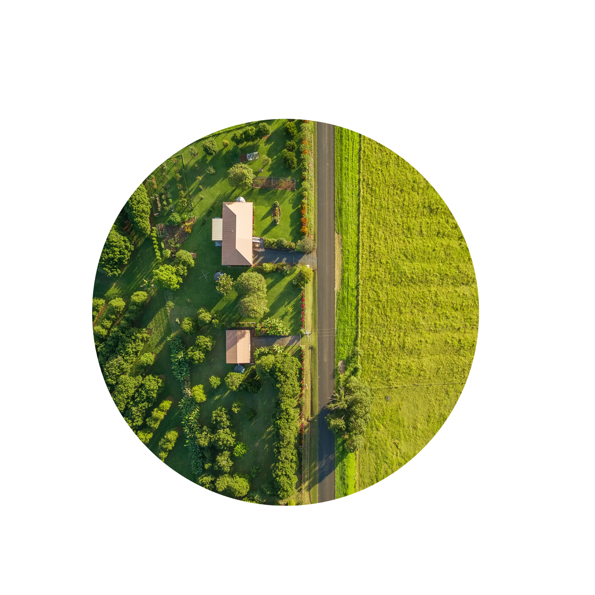 farm-ps