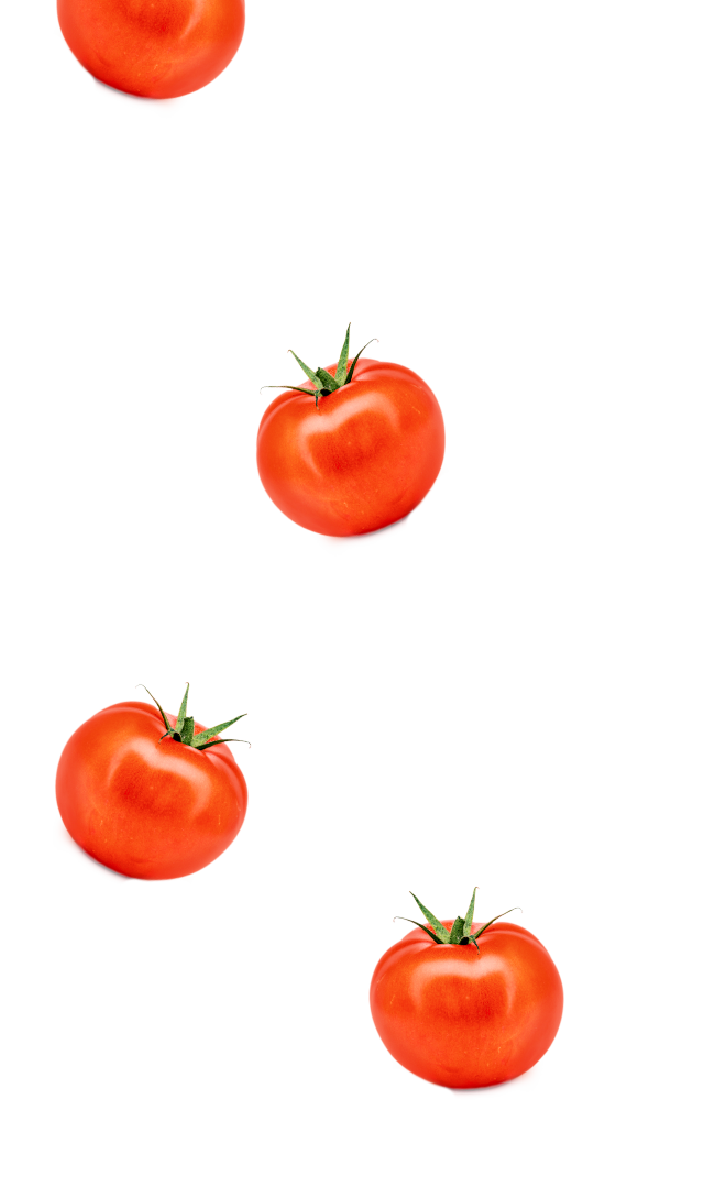 tomato background tomato background